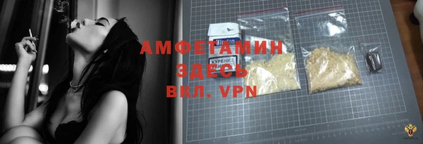 твердый Новозыбков