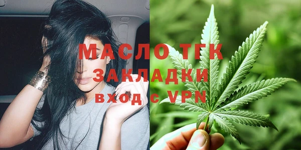 твердый Новозыбков