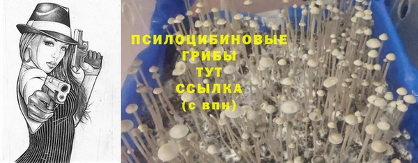 спайс Новодвинск
