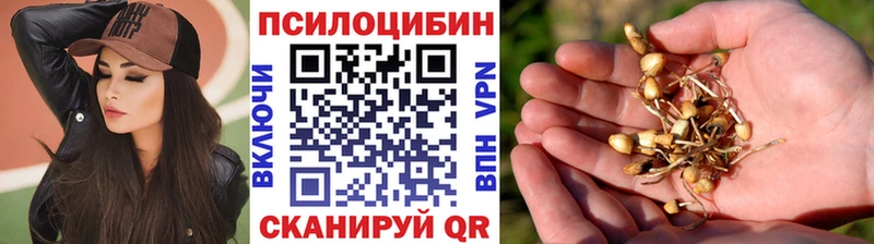 что такое Лесозаводск Псилоцибиновые грибы мицелий