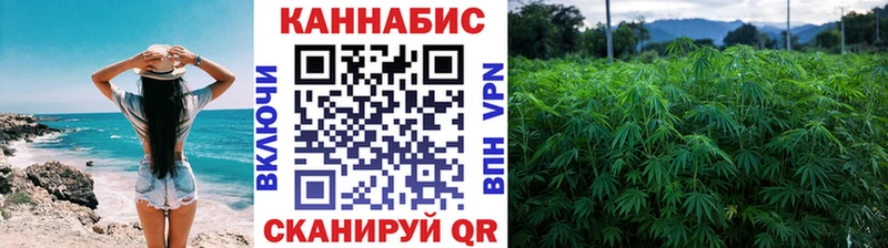 Бошки марихуана план  закладки  mega зеркало  Лесозаводск 